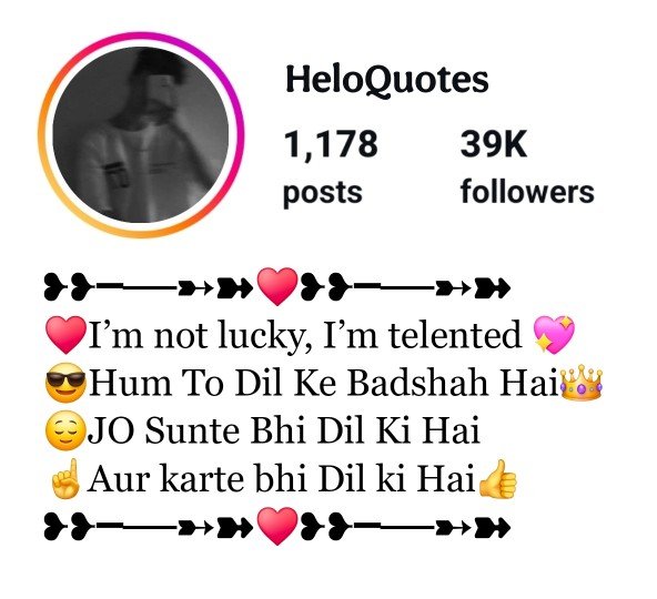 Instagram Bio in Stylish Font