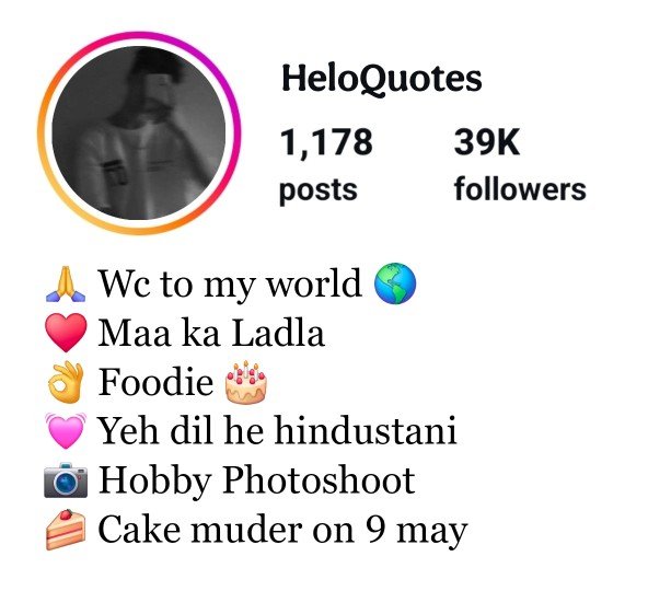 Instagram VIP Bio Stylish Font